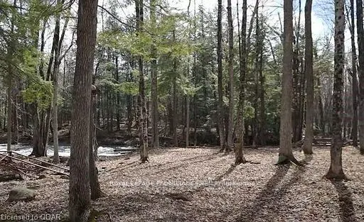 LOT 4 FUTURE Lane