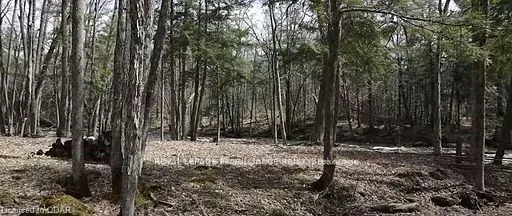 LOT 4 FUTURE Lane