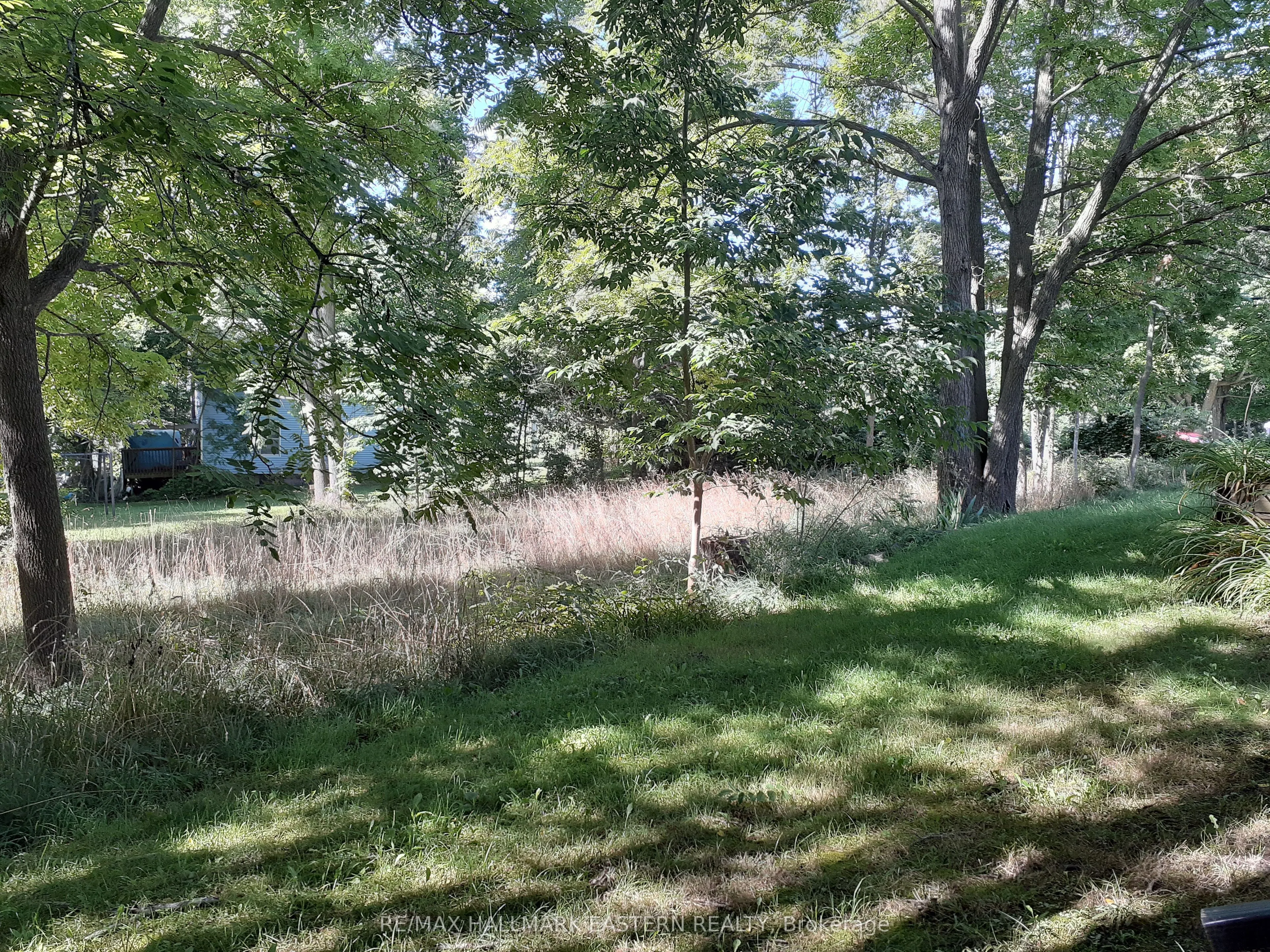 227 A Queen Street