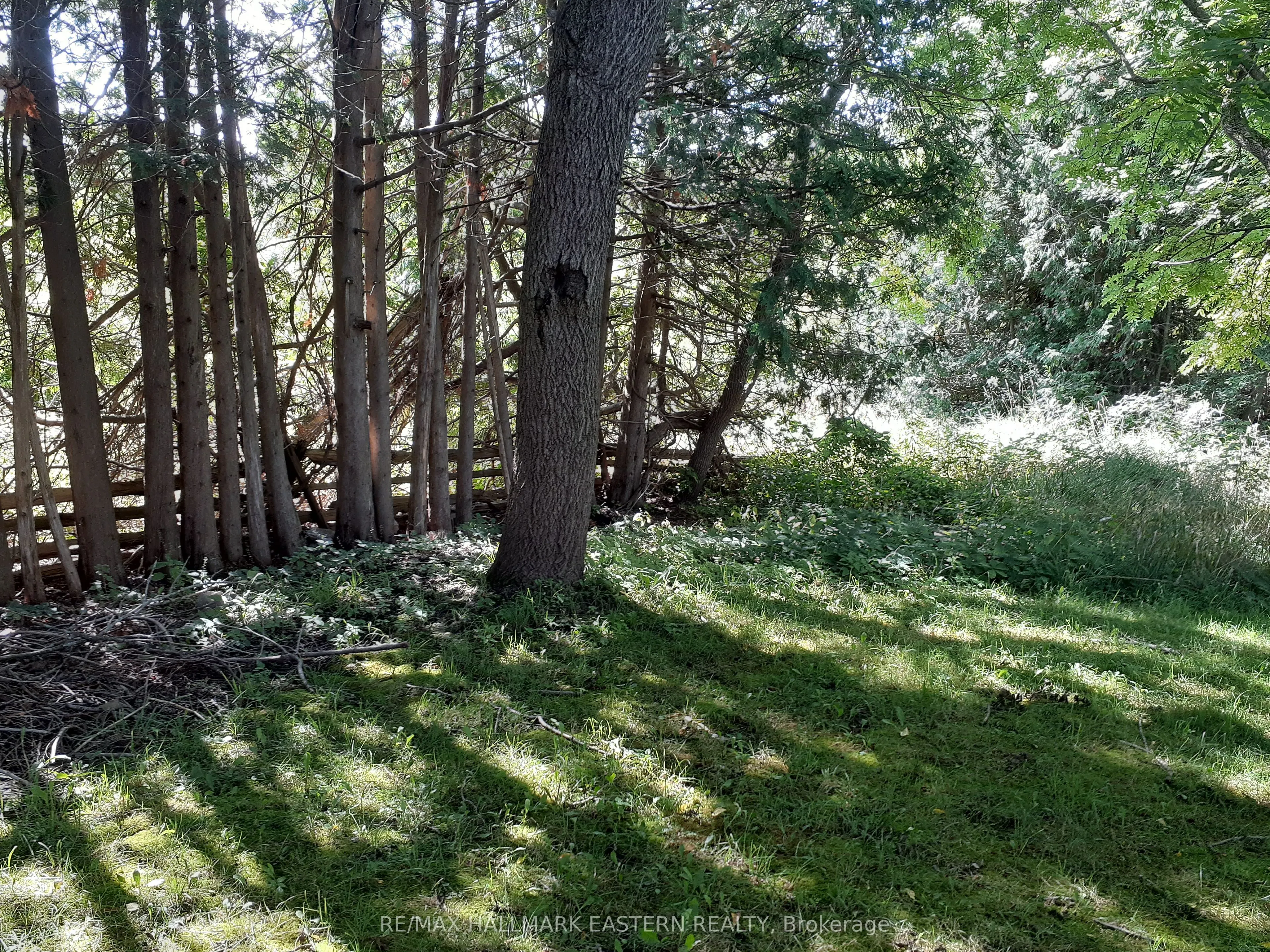 227 A Queen Street