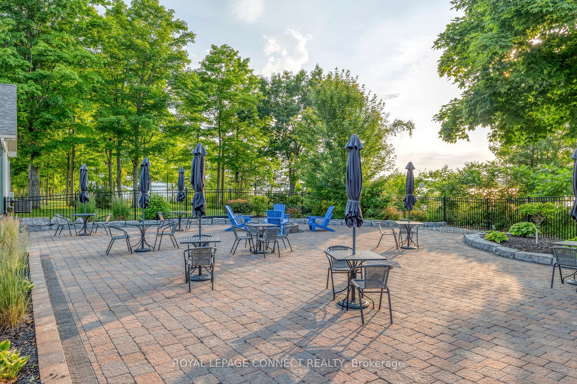 63 Butternut Lane #95