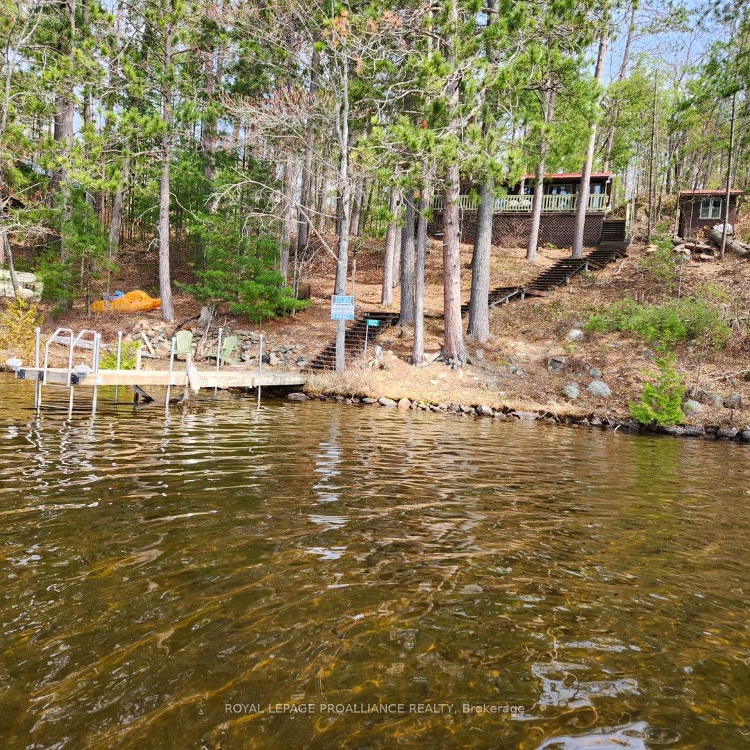 102 Mazinaw Lake