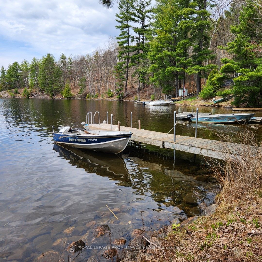 102 Mazinaw Lake