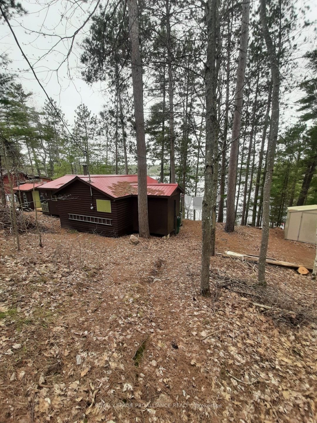 102 Mazinaw Lake