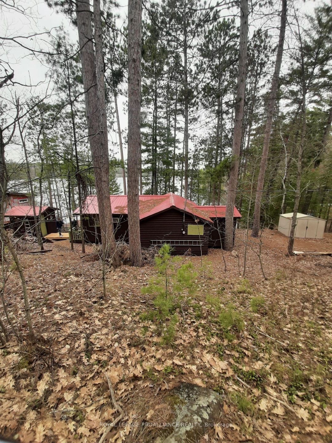 102 Mazinaw Lake