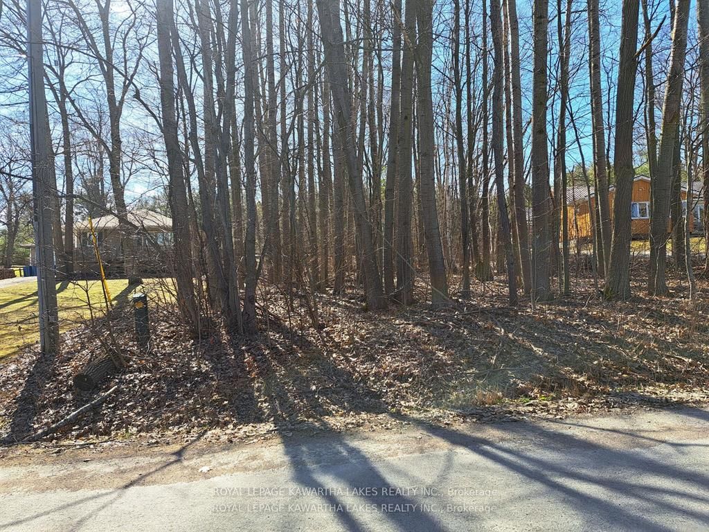 0 Poplar Drive