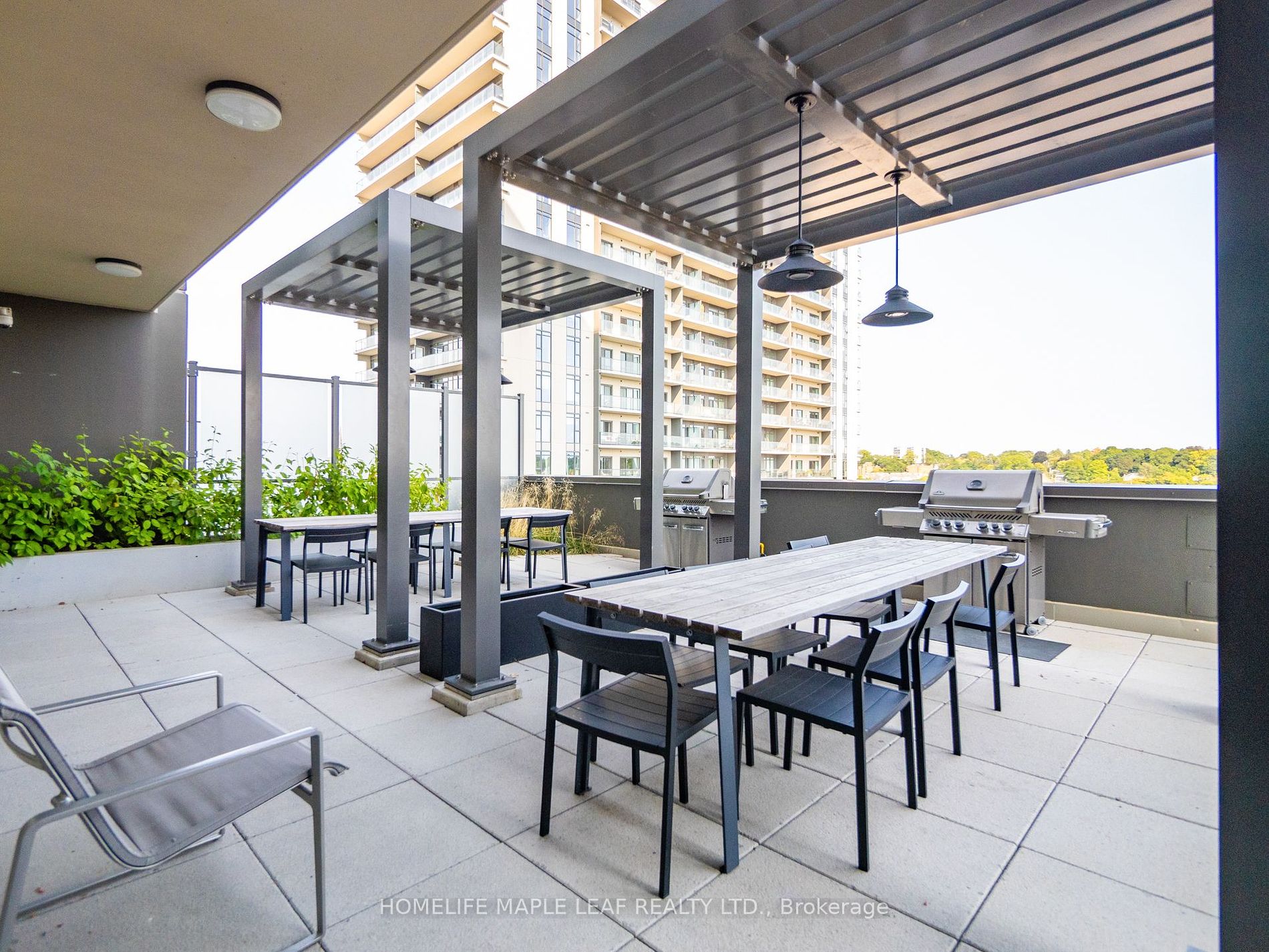 15 Glebe Street #1310