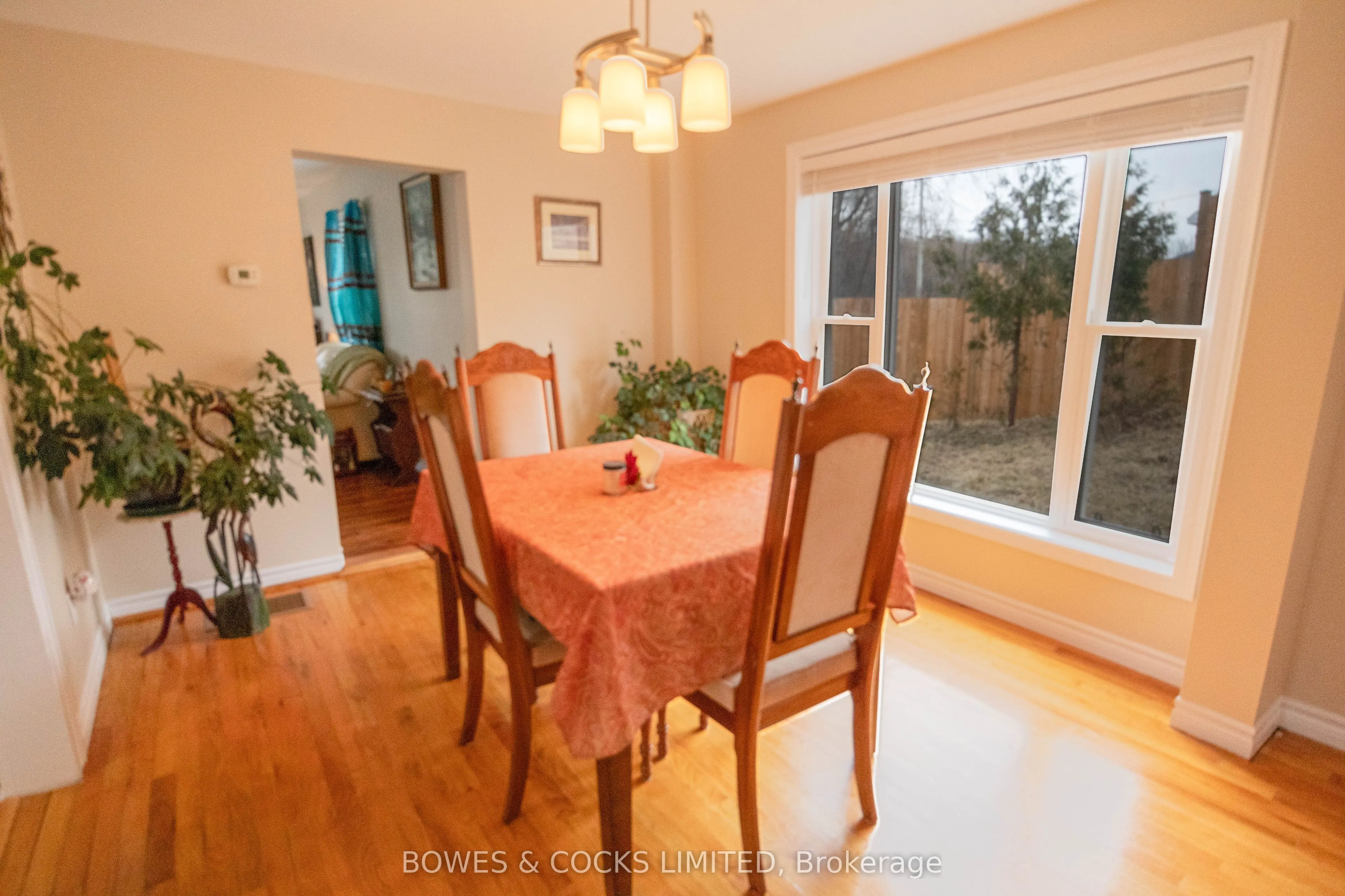 3994 County Road 620