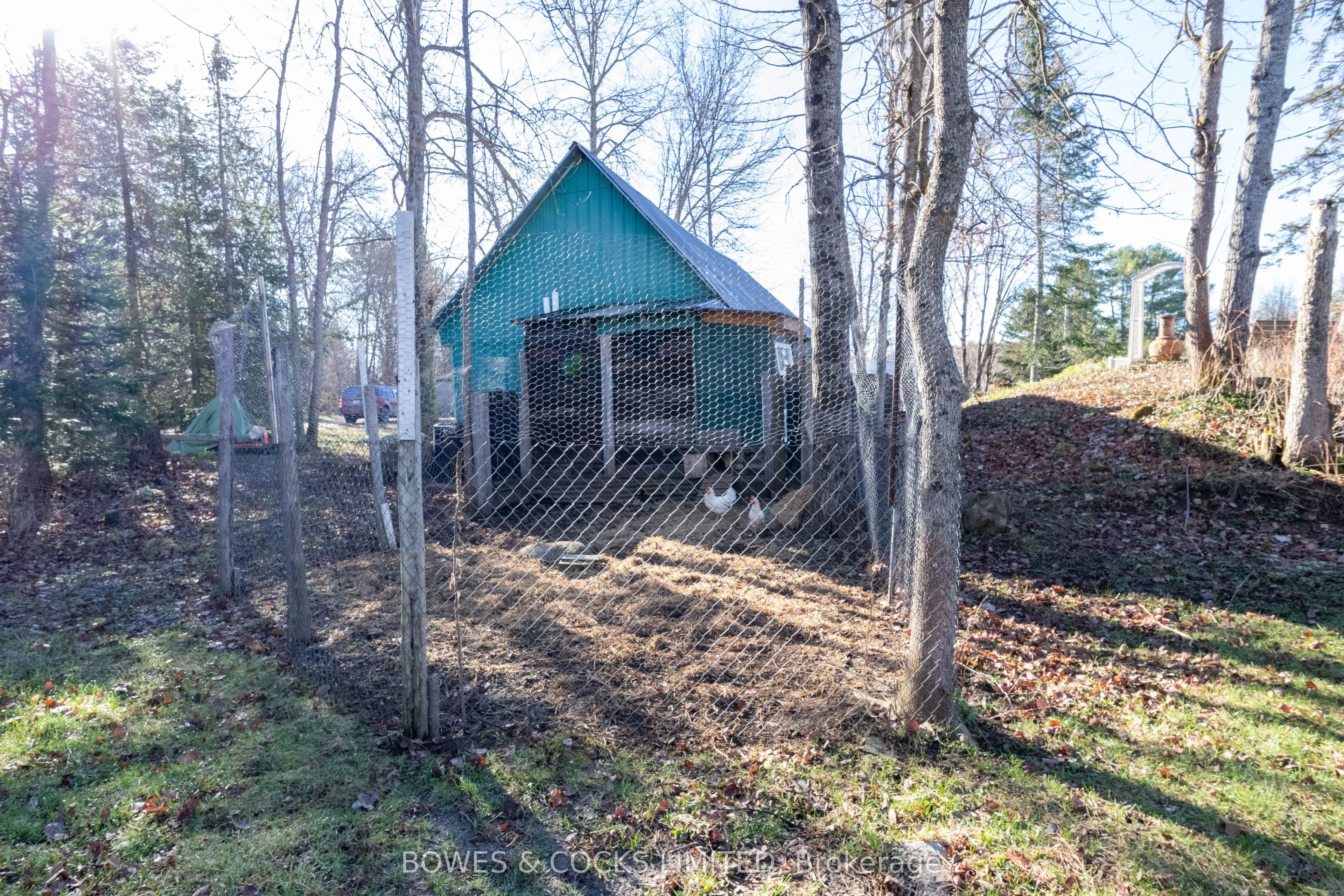 3994 County Road 620
