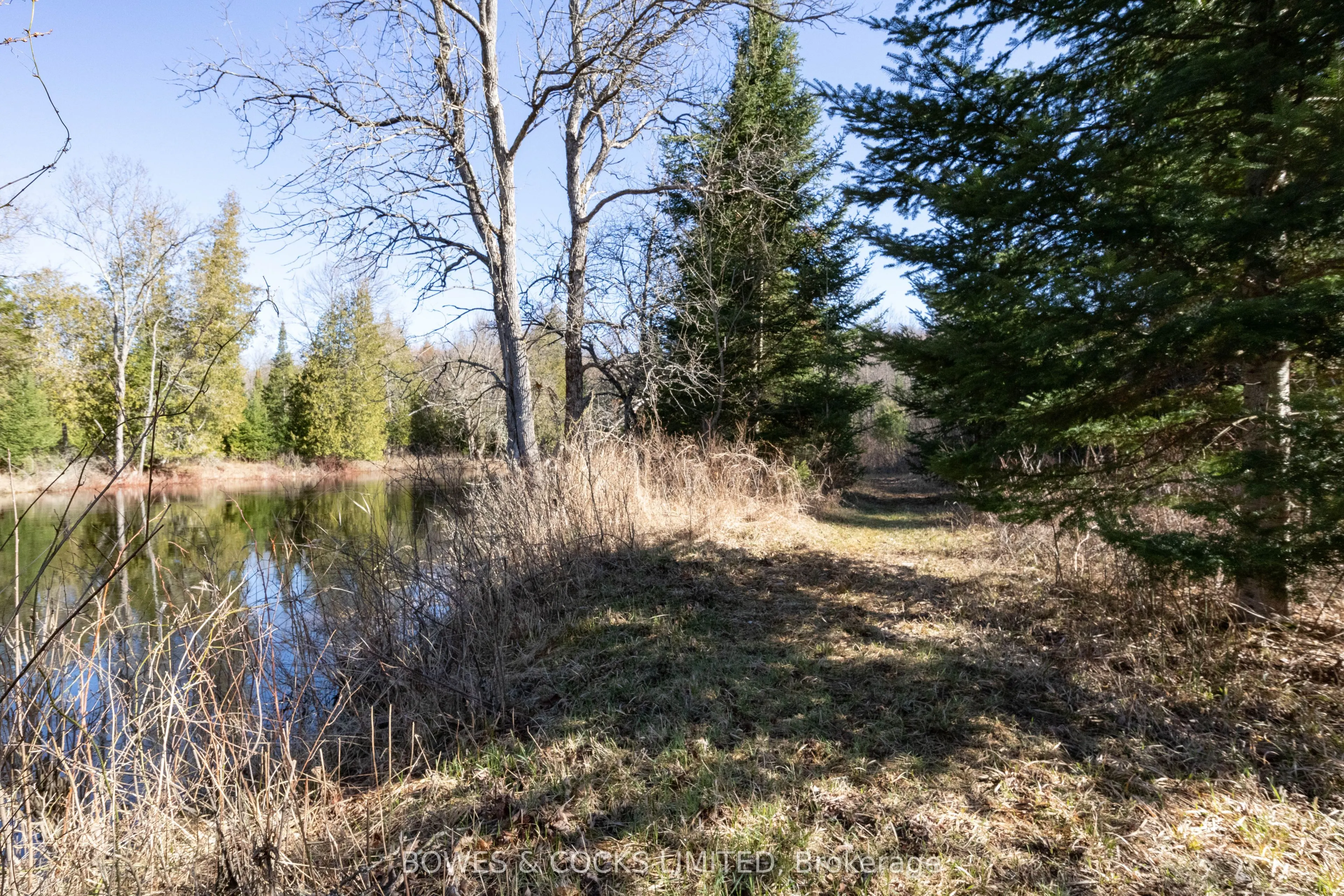 3994 County Road 620