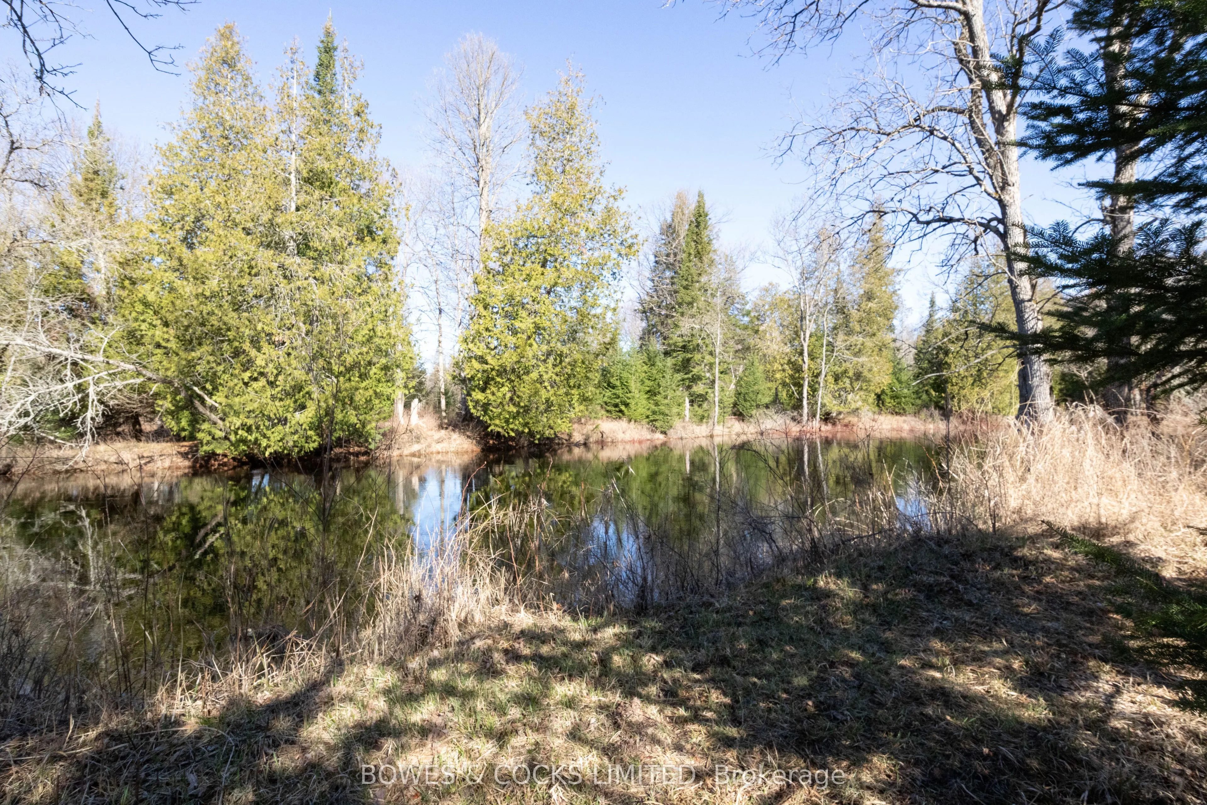 3994 County Road 620