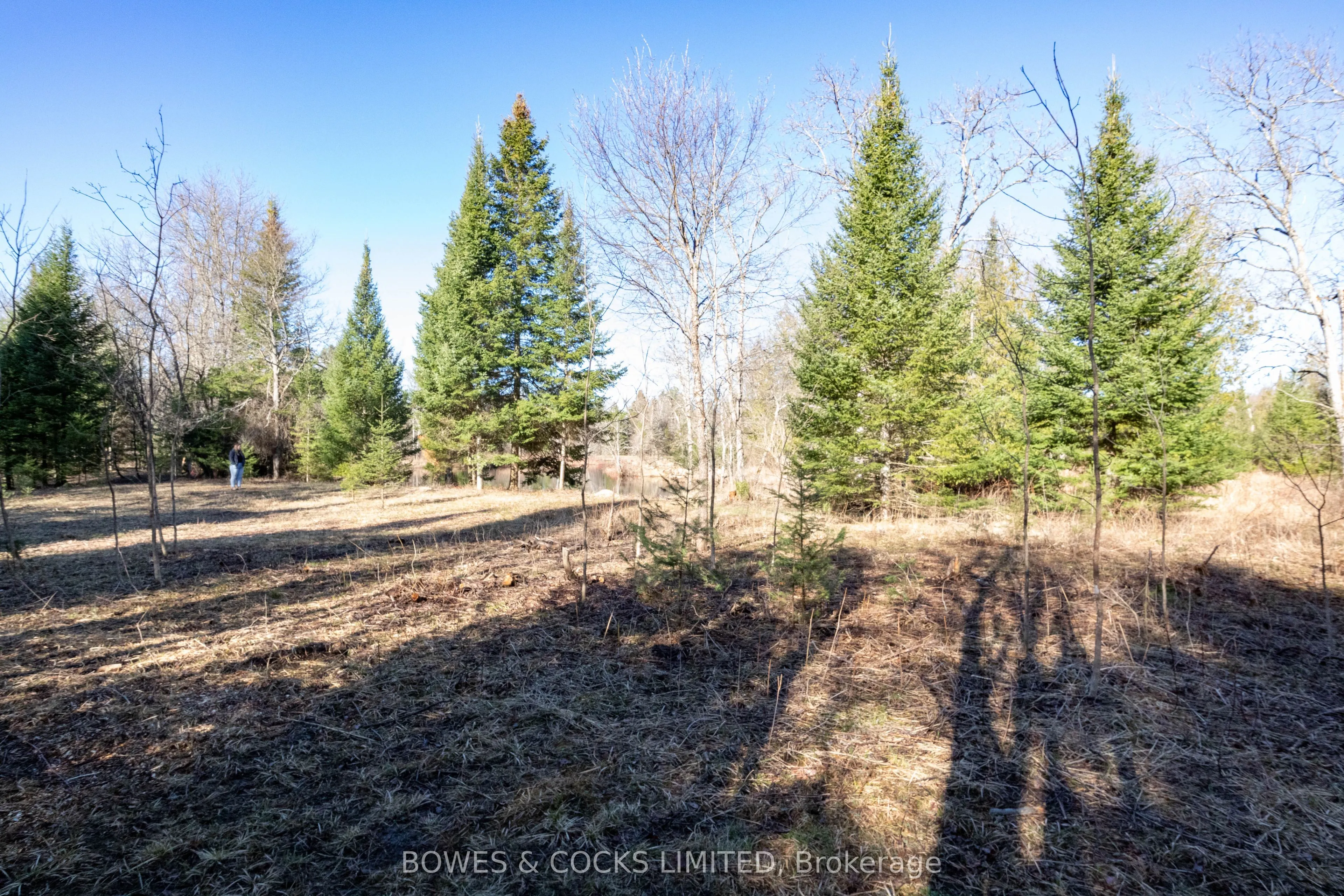 3994 County Road 620