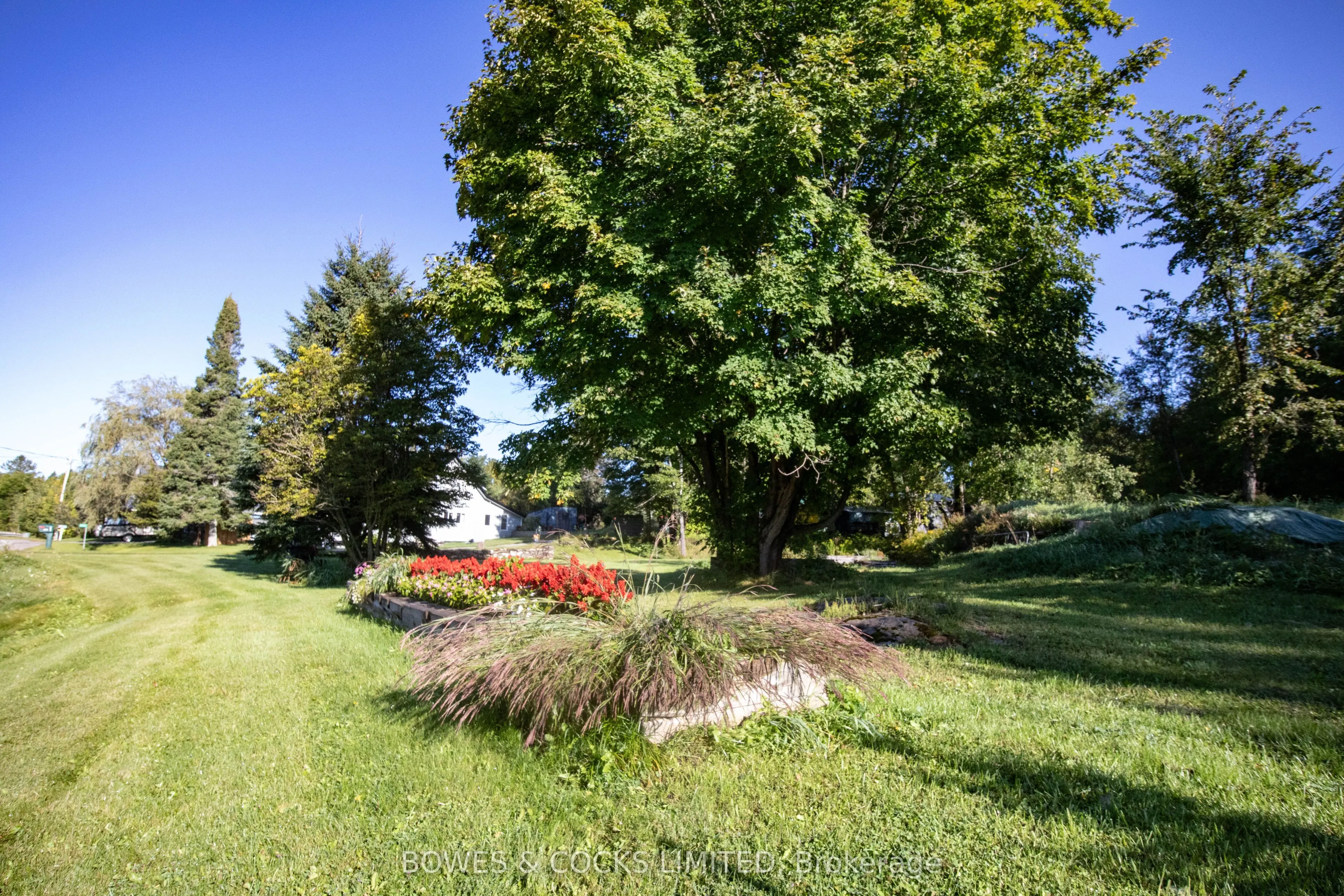 3994 County Road 620