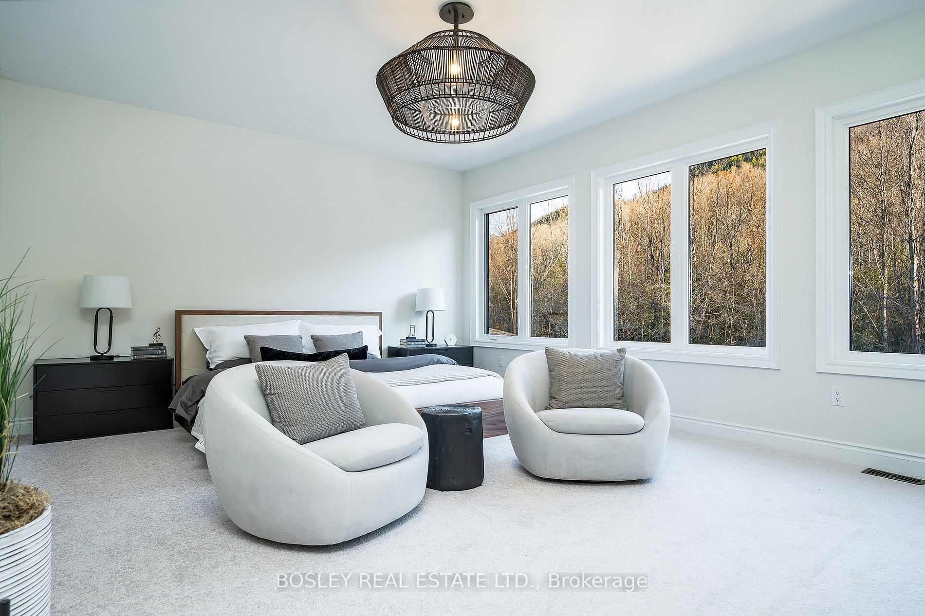 116 Dorothy Drive