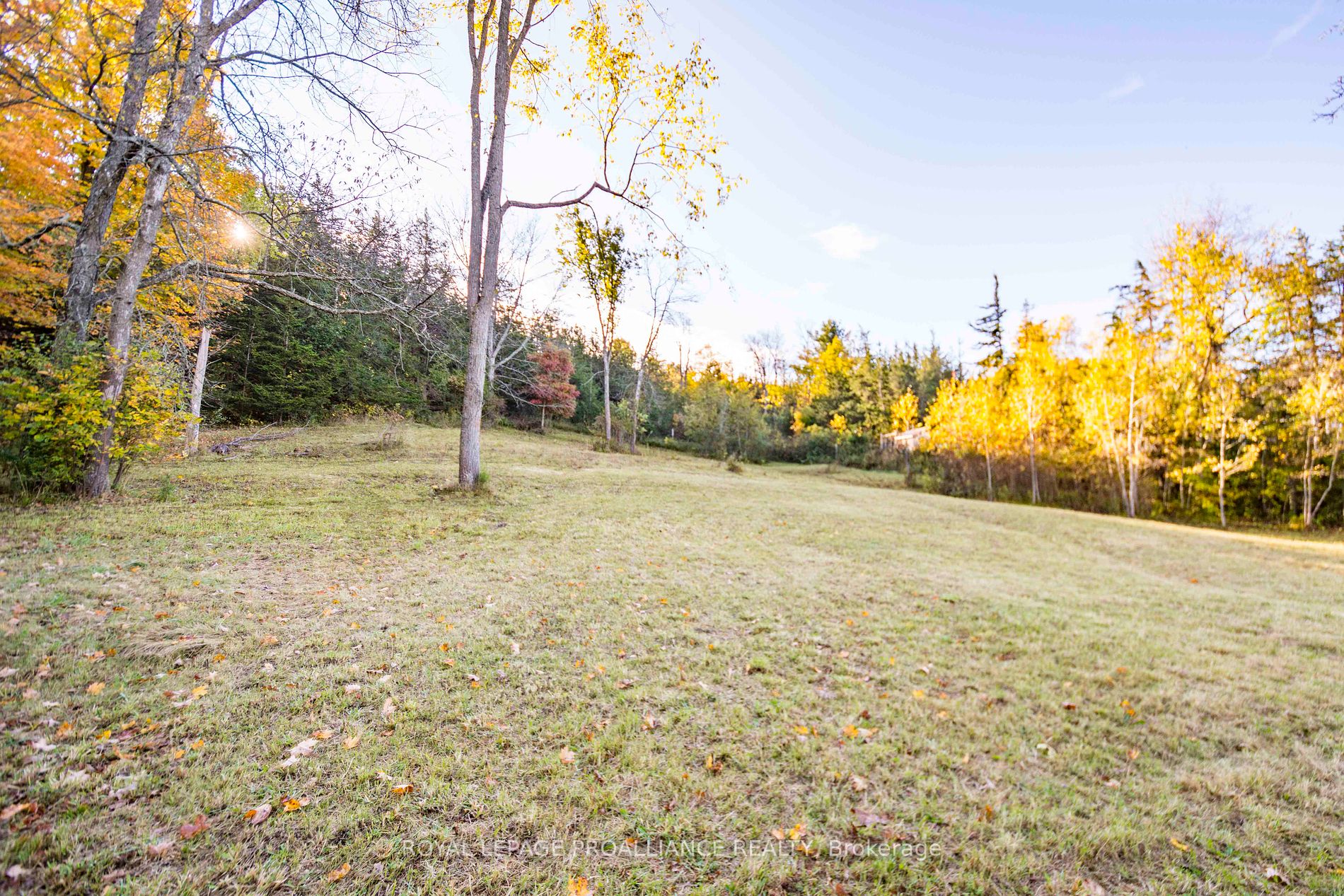 863 Gunter Settlement Road