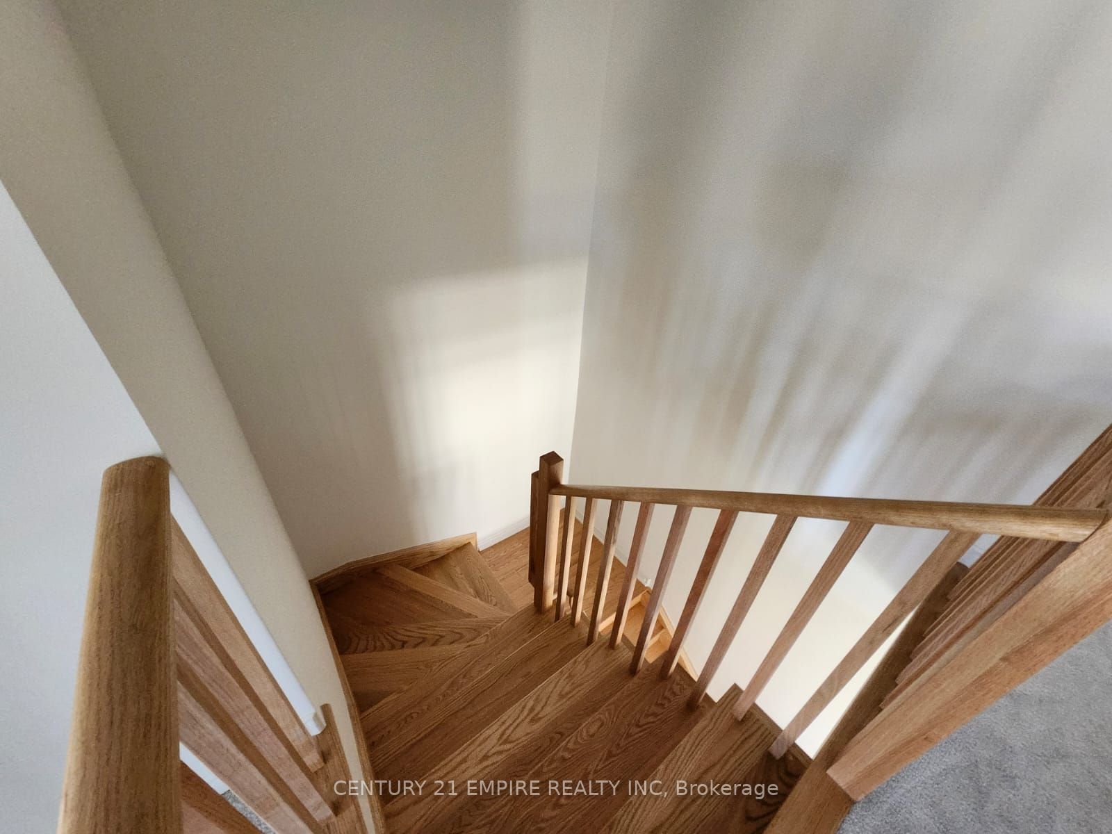 415 Trevor Street