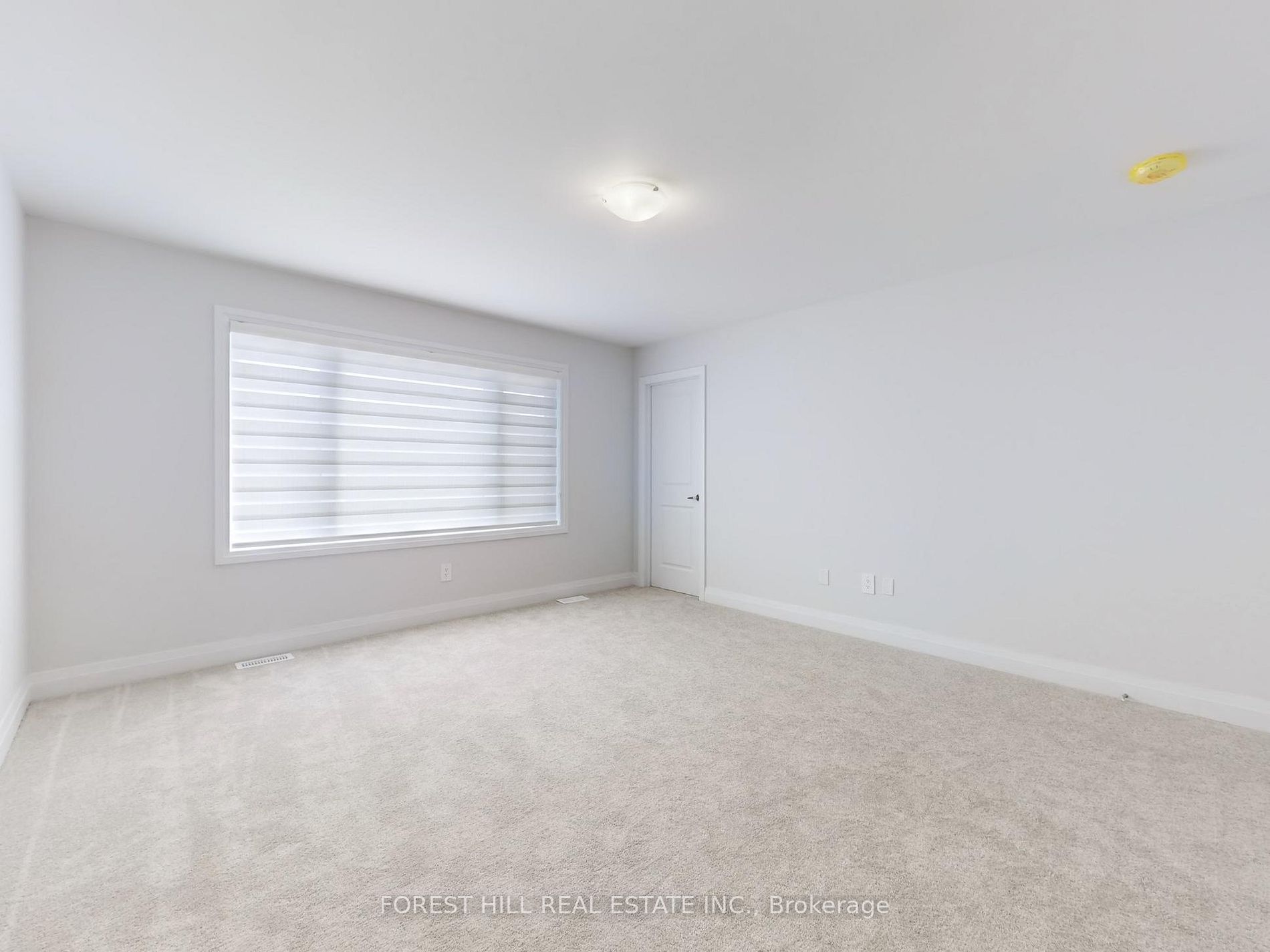 111 Corley Street