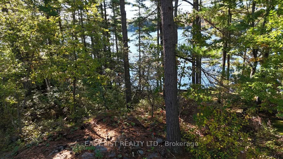 100 Kilgore Island