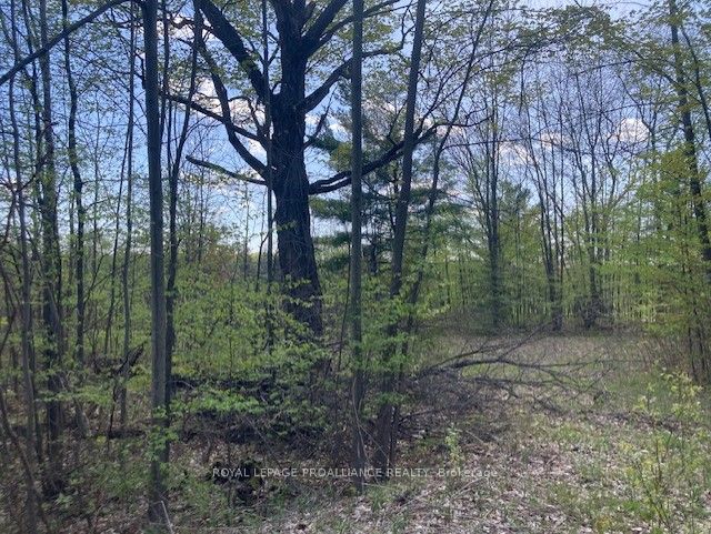 31 Glen Ridge Road