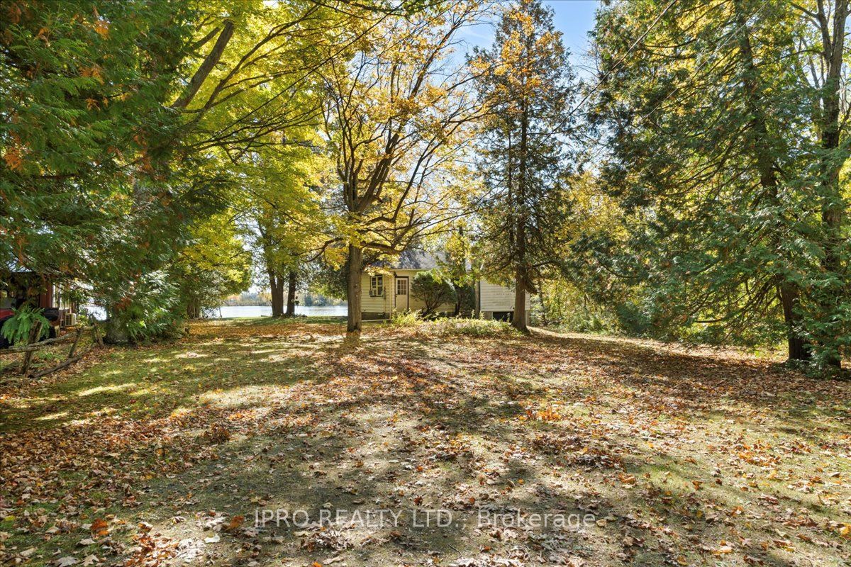 430 Lake Road