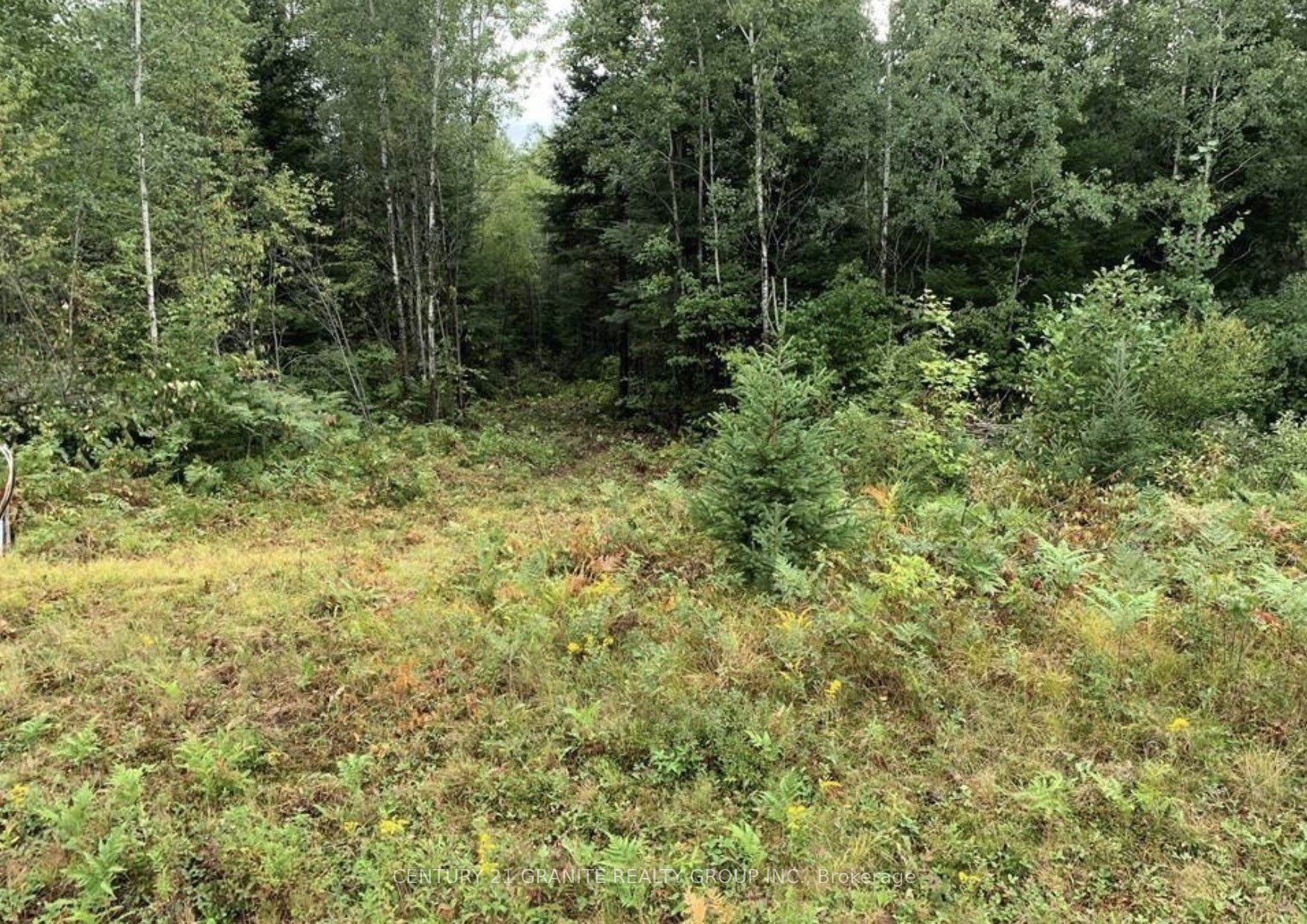 Lot 24 Nicklaus Drive