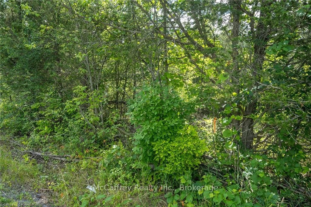 0 COLEBROOK Road