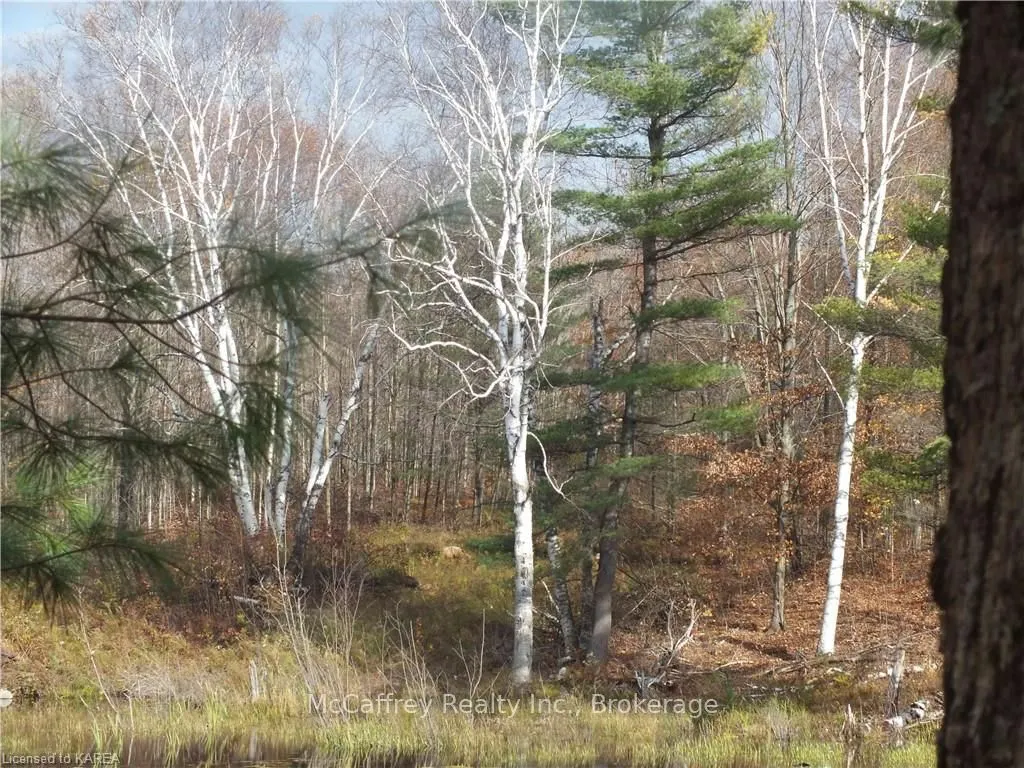 2970 MOUNTAIN Road