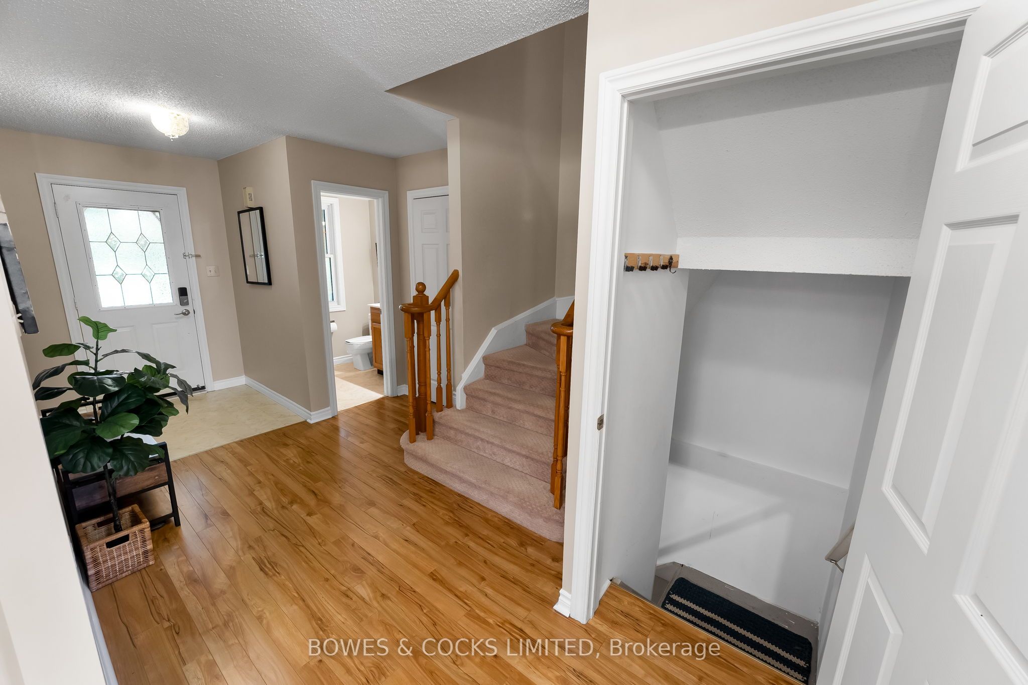 545 Wilfred Drive