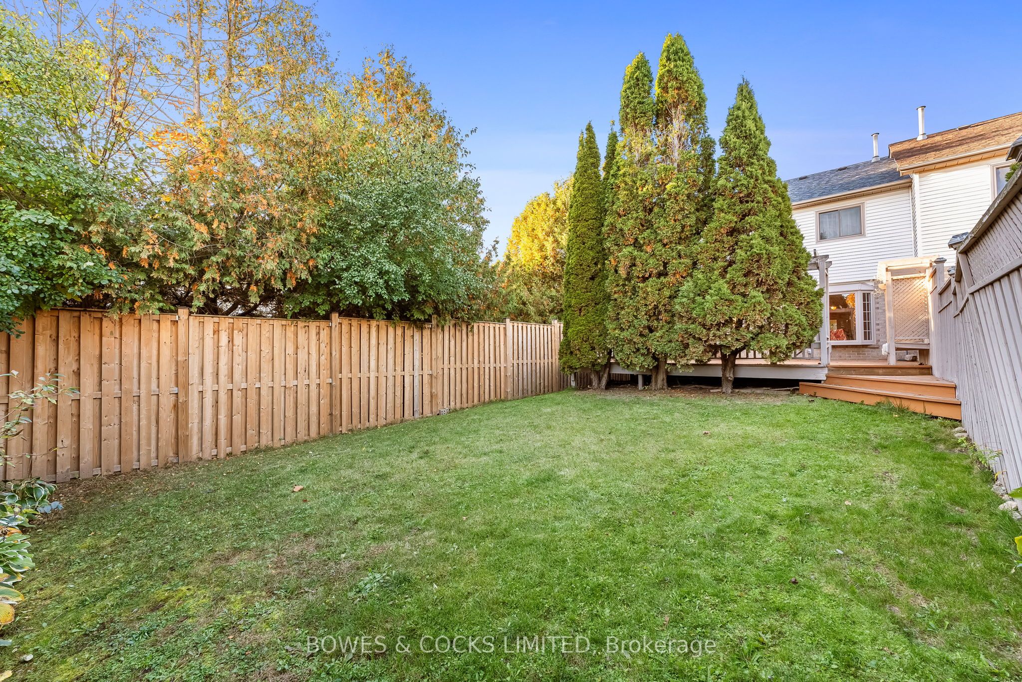 545 Wilfred Drive