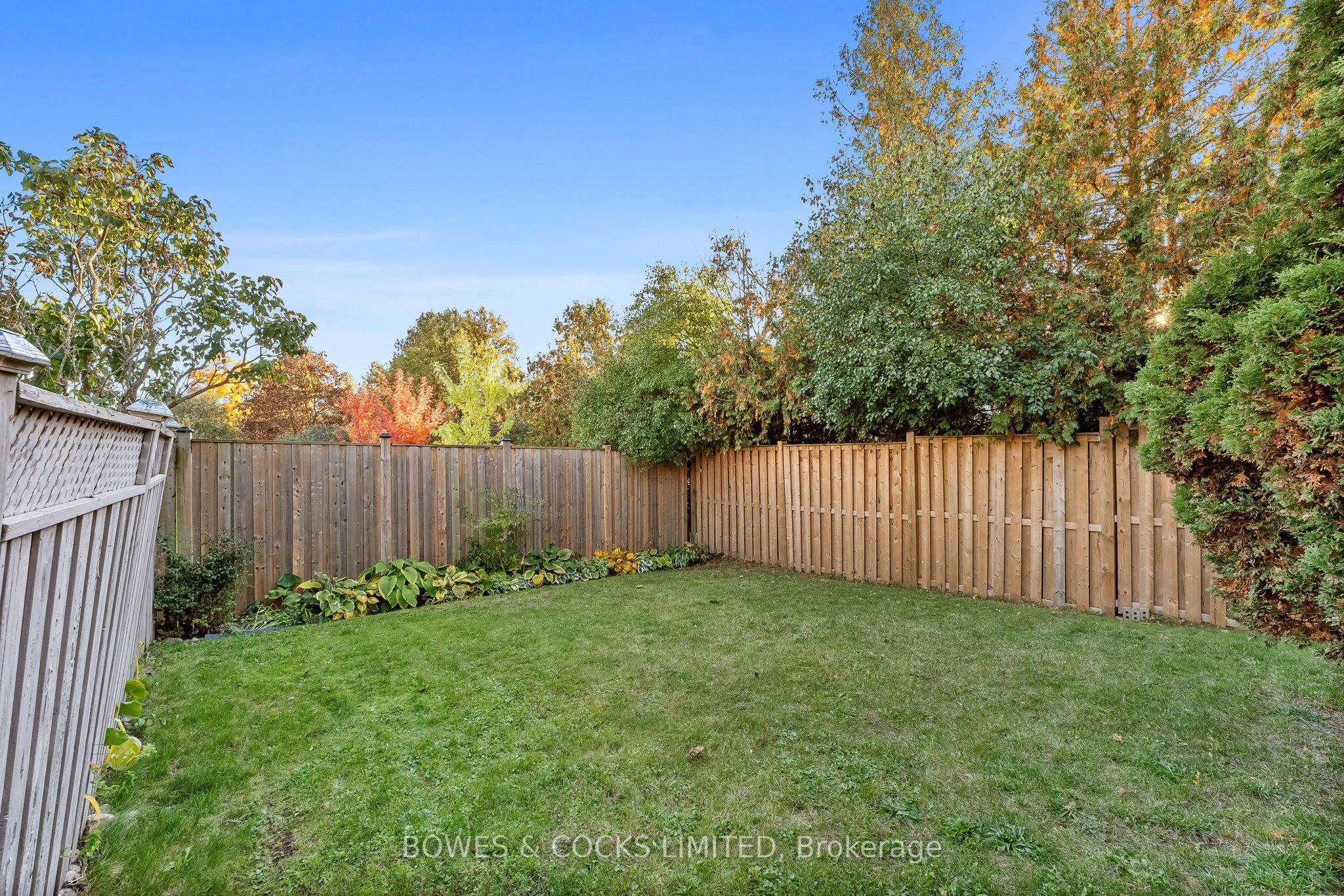 545 Wilfred Drive