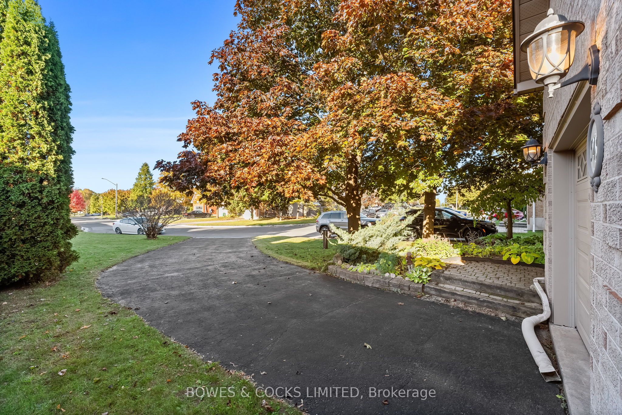 545 Wilfred Drive