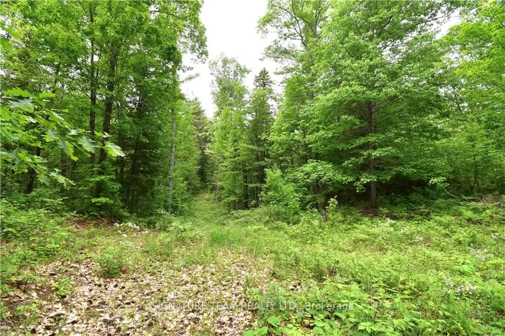 455 PASSAW Road