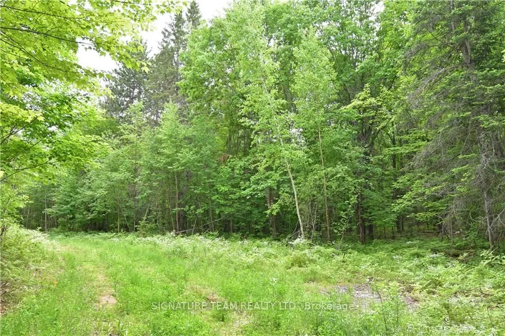 455 PASSAW Road