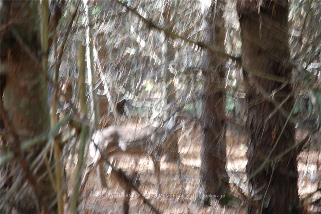 Lot 2 WATSONS CORNERS Road