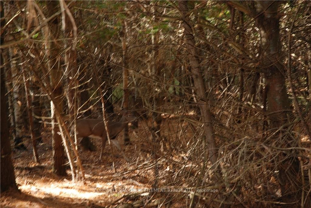 Lot 2 WATSONS CORNERS Road