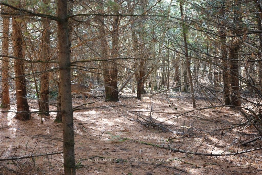 Lot 2 WATSONS CORNERS Road