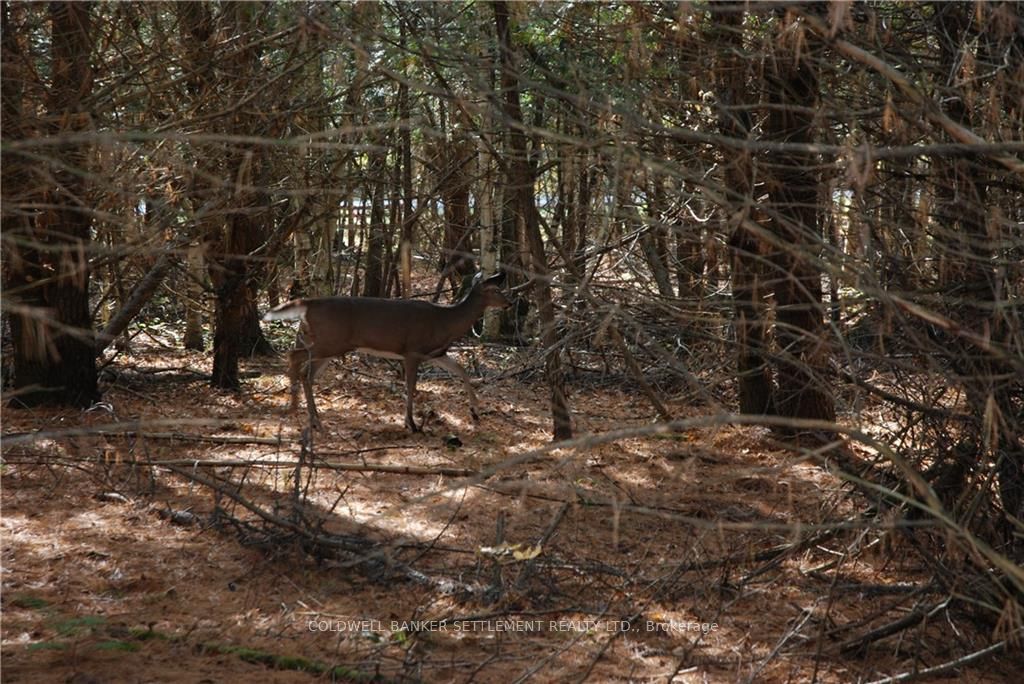 Lot 2 WATSONS CORNERS Road