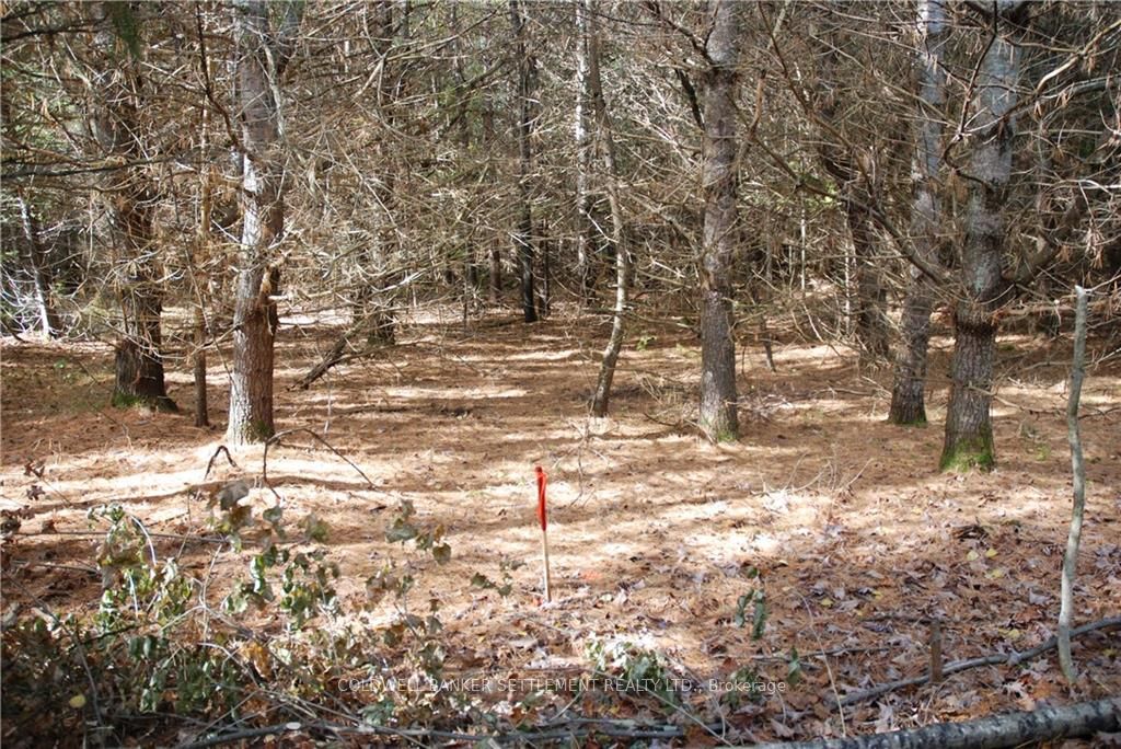 Lot 2 WATSONS CORNERS Road