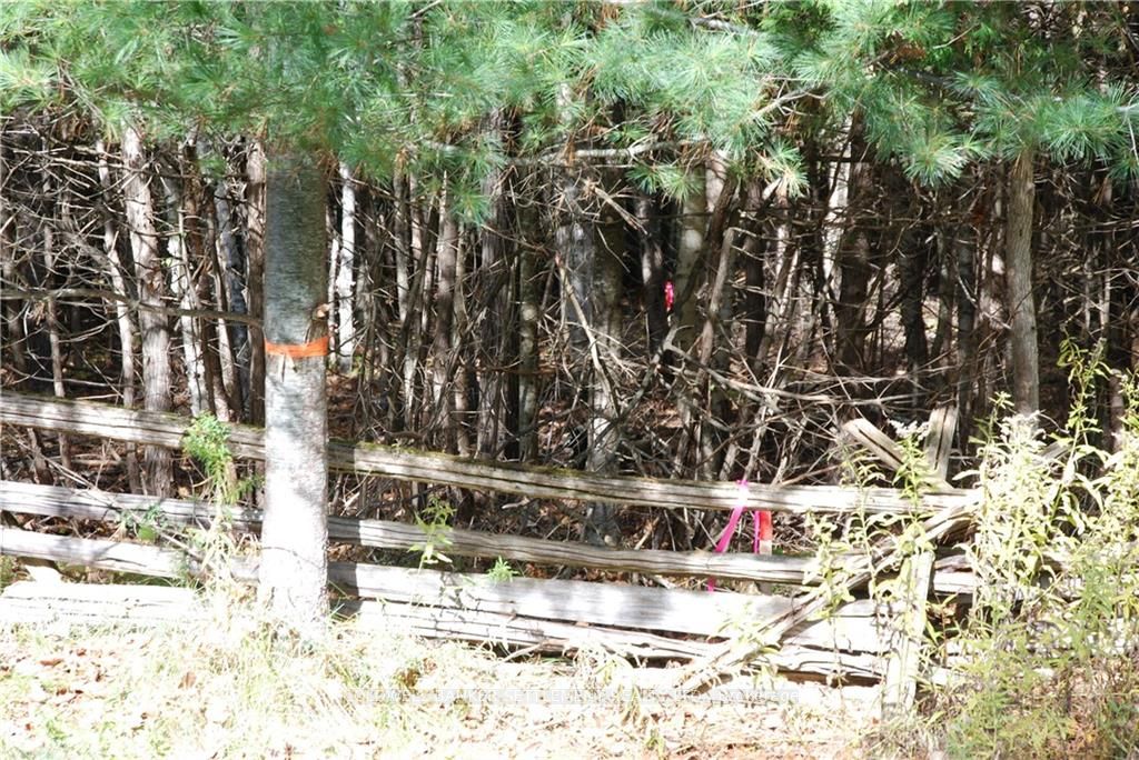 Lot 2 WATSONS CORNERS Road