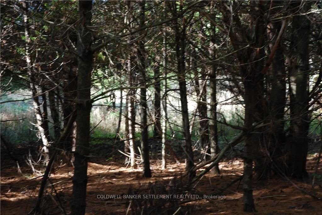 Lot 2 WATSONS CORNERS Road