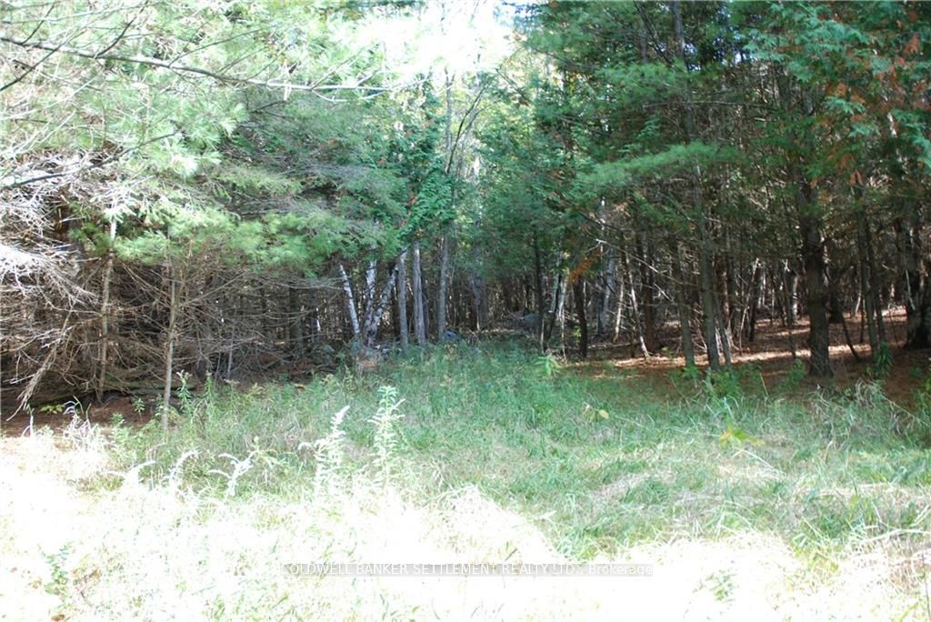 Lot 2 WATSONS CORNERS Road