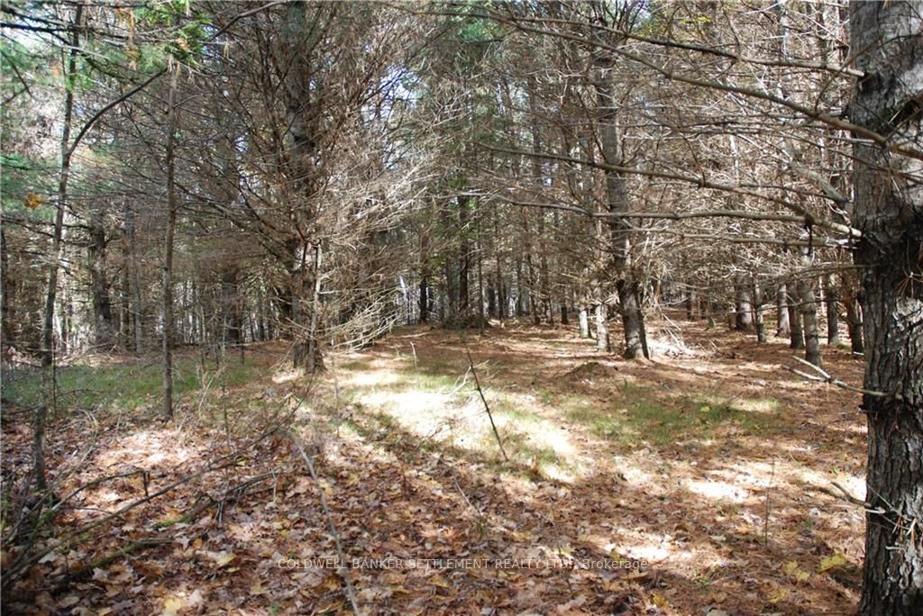 Lot 2 WATSONS CORNERS Road