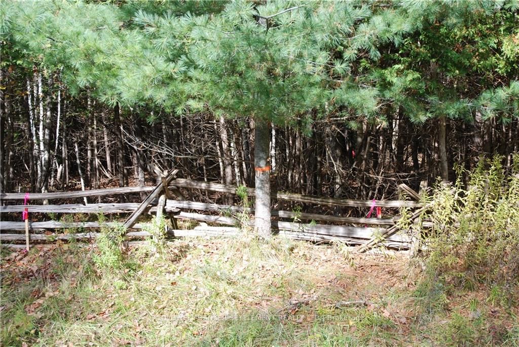 Lot 2 WATSONS CORNERS Road