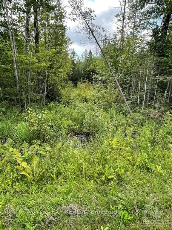 00 A1 CONCESSION ROAD 4 Road
