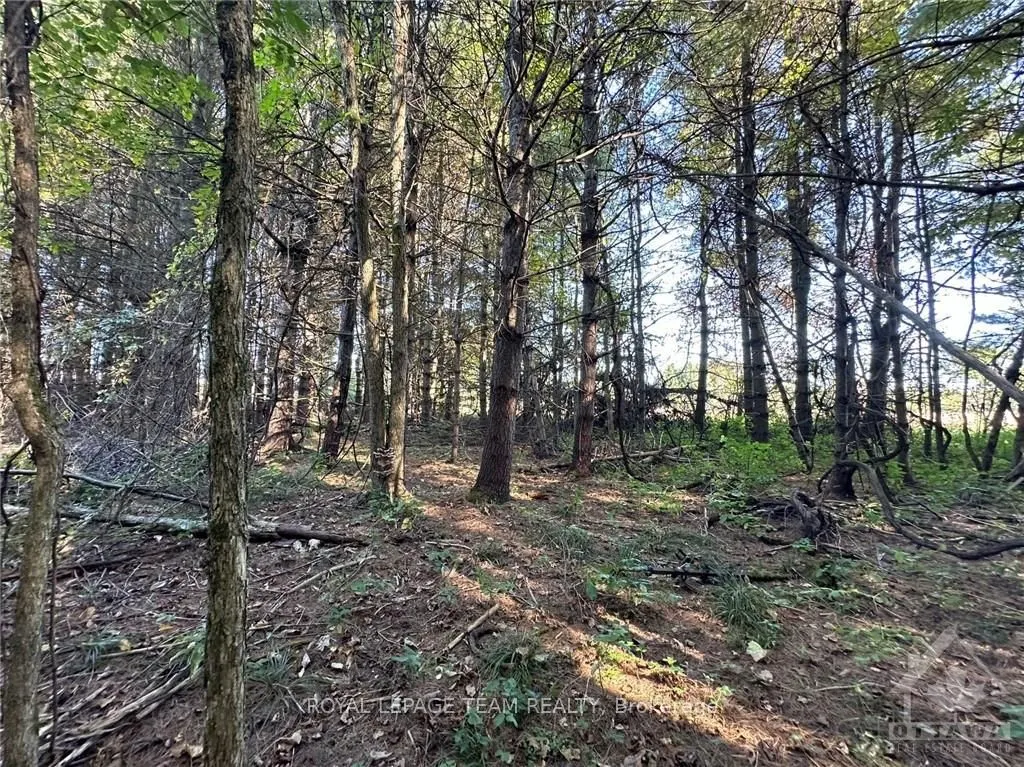 2591 SIXTH LINE Road