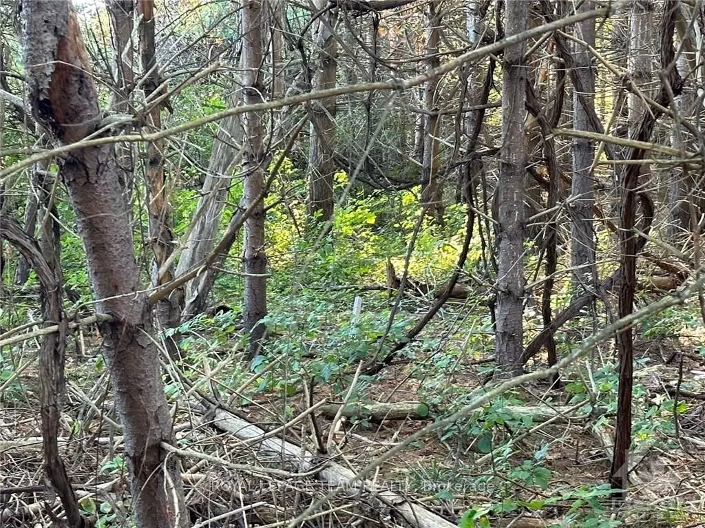 2591 SIXTH LINE Road
