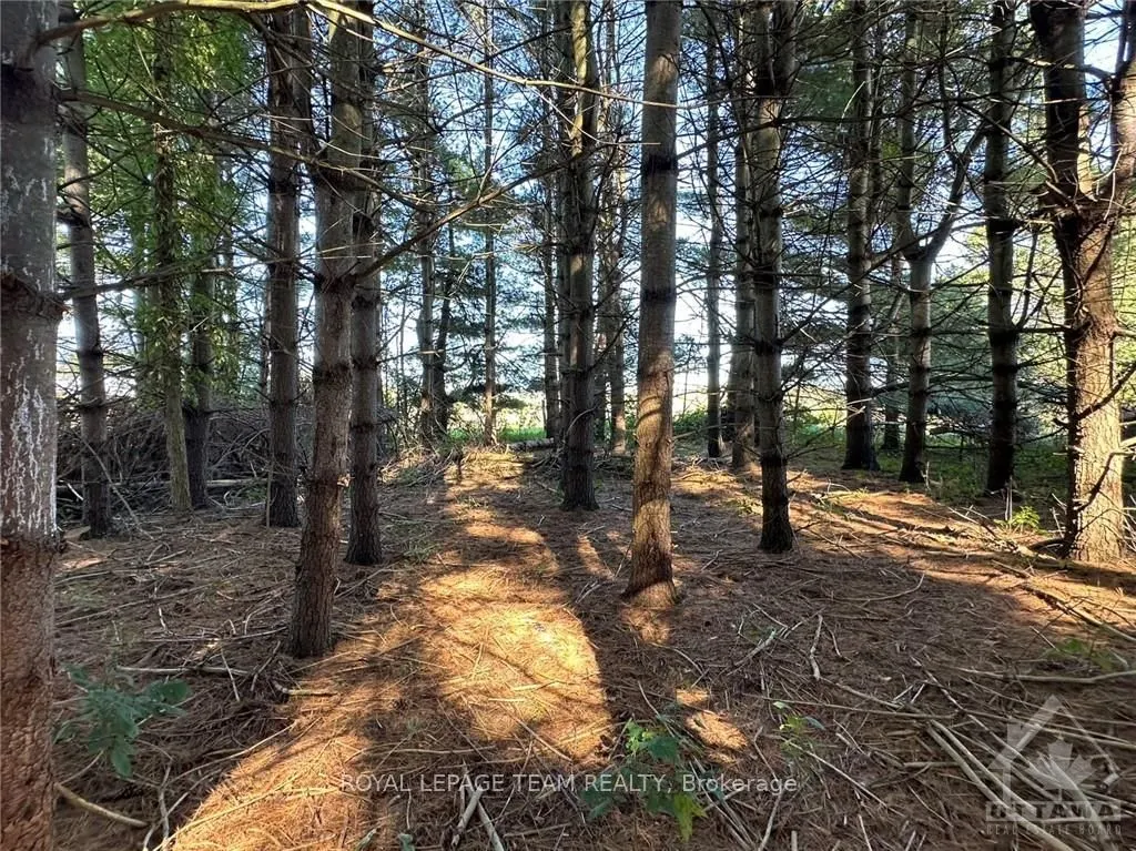 2591 SIXTH LINE Road
