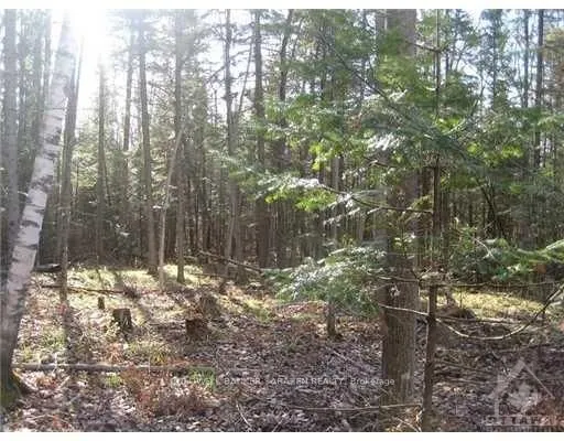 3110 DUNROBIN Road