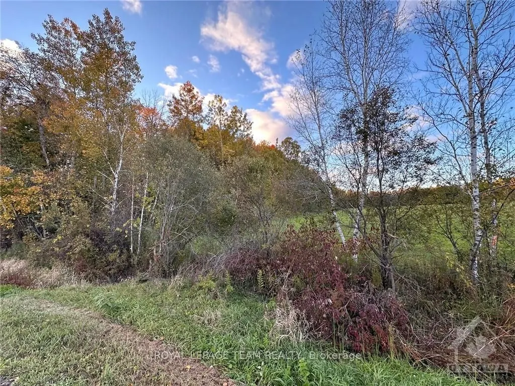 00 COUNTY ROAD 20 Road