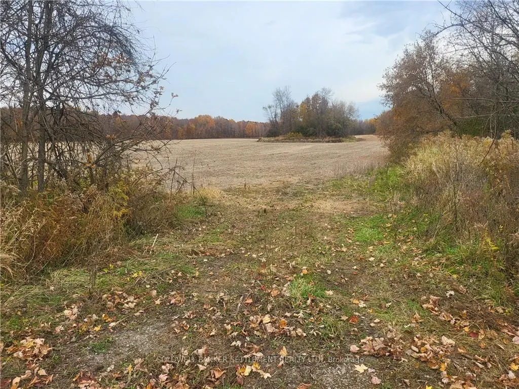 Lot 3 BUSH Road